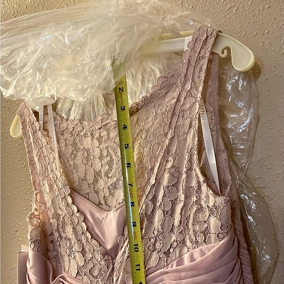 Sleeveless Long Mesh Dress with Corded Lace - Picture 11 of 12